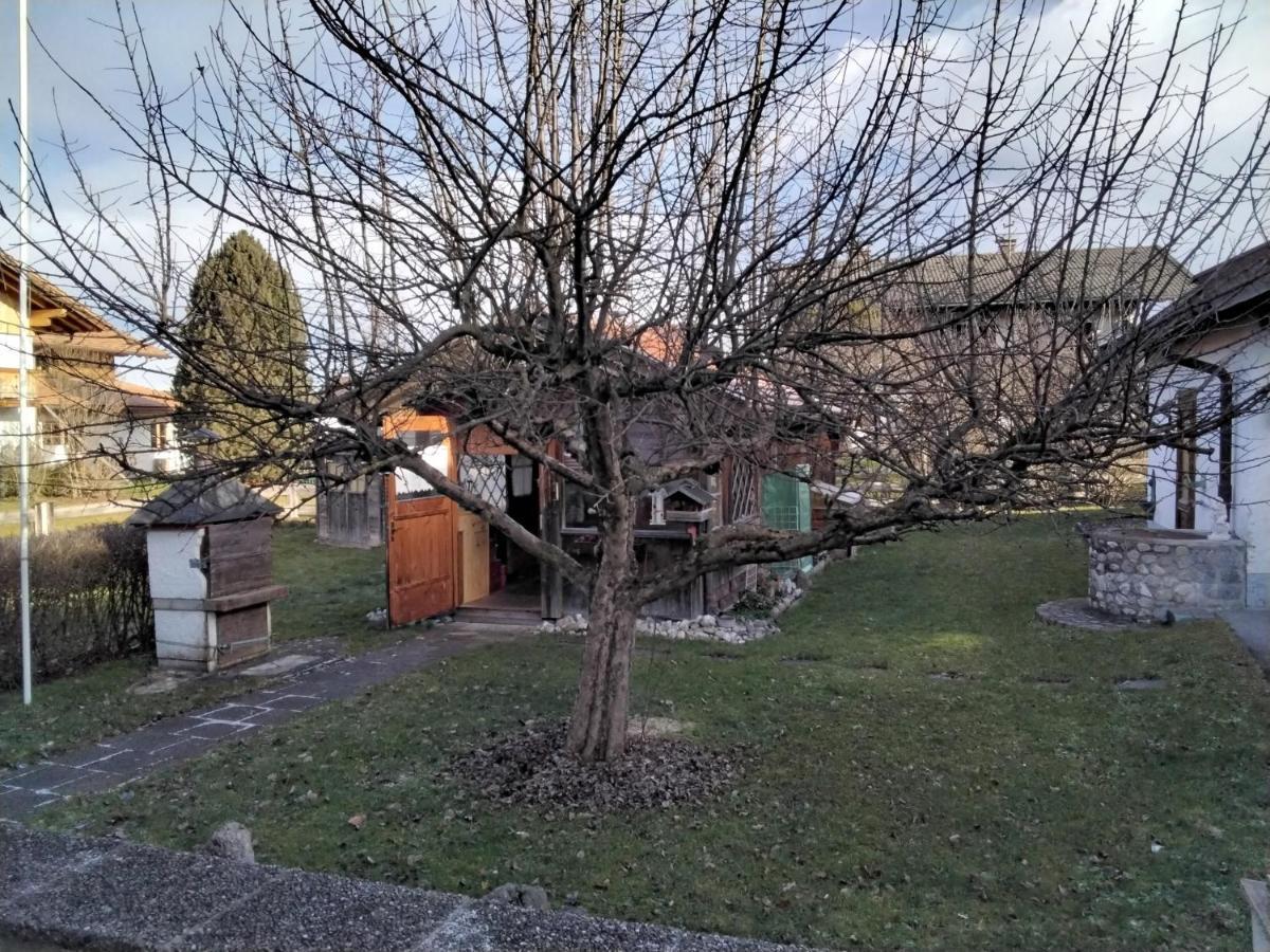 Ferienwohnung Maxl Fischbachau Exterior photo